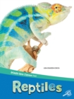 Animals Have Classes Too! Reptiles - eBook