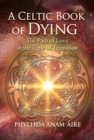 A Celtic Book of Dying : The Path of Love in the Time of Transition - Book