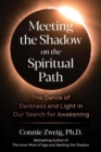 Meeting the Shadow on the Spiritual Path : The Dance of Darkness and Light in Our Search for Awakening - Book