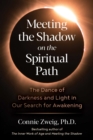 Meeting the Shadow on the Spiritual Path : The Dance of Darkness and Light in Our Search for Awakening - eBook