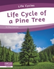 Life Cycles: Life Cycle of a Pine Tree - Book