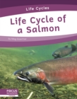 Life Cycles: Life Cycle of a Salmon - Book