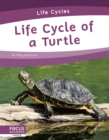 Life Cycles: Life Cycle of a Turtle - Book
