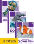 Ocean Animals (Set of 8) - Book