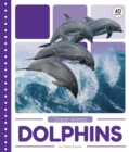 Ocean Animals: Dolphins - Book