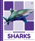Ocean Animals: Sharks - Book