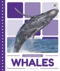 Ocean Animals: Whales - Book
