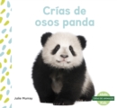 Crias de osos panda (Panda Cubs) - Book
