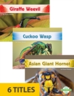 Incredible Insects (Set of 6) - Book