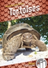 Animals with Armor: Tortoises - Book