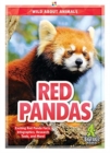 Red Pandas - Book