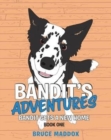 Bandit's Adventures: Bandit Gets a New Home - Book