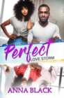 The Perfect Love Storm - Book