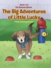 The Big Adventures of Little Lucky : Book 1 - Book