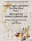 Tel Miqne 10/1 : Tel Miqne-Ekron Excavations 1994–1996, Field IV Upper and Field V, The Elite Zone Part 1: Iron Age IIC Temple Complex 650 - Book