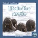 Animals Live Here: Life in the Arctic - Book