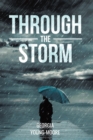 THROUGH THE STORM - eBook