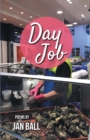 Day Job - Book