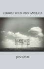 Choose Your Own America - Book