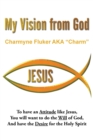 My Vision From God - Book