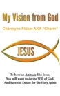 My Vision From God - eBook