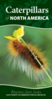 Caterpillars of North America : Easily Identify 90 Common Butterflies and Moths - Book