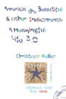 America the Beautiful & Other Indictments : A Meaningful Life 3.0 - Book