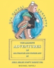 The Amazing Adventures of Mr. Wimples and Sophie Ann : Real Bears Don't Drink Tea - Book