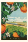 Vintage Journal Train Through orange Orchard Travel Poster - Book
