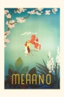Vintage Journal Merano, Italy Travel Poster - Book