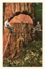 Vintage Journal Giant Fir Tree - Book