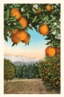 The Vintage Journal Orange Grove with Mountains in Background - Book