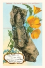 The Vintage Journal This little Dot, Map of California, Poppies - Book