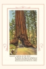 The Vintage Journal Wawona, Mariposa Big Tree Grove - Book