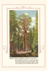 The Vintage Journal Grizzly giant, Mariposa Big Trees - Book