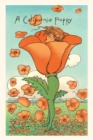 The Vintage Journal Illustration of California Poppy Person - Book
