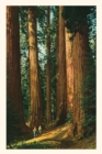 The Vintage Journal Sequoia Trees - Book