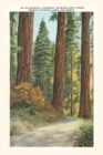 The Vintage Journal Sequoia National Park - Book
