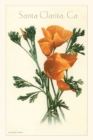 The Vintage Journal California Poppy, Santa Clarita - Book