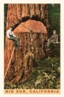 Vintage Journal Chopping Down a Redwood, Big Sur, California - Book
