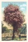 Vintage Journal Rose Trees, Santa Cruz - Book