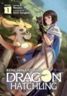 Reincarnated as a Dragon Hatchling (Light Novel) Vol. 1 - Book