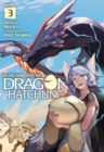 Reincarnated as a Dragon Hatchling (Light Novel) Vol. 3 - Book