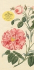 John Derian Paper Goods: Everything Roses Notepad - Book