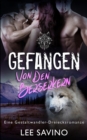 Gefangen von den Berserkern - Book