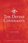 The Divine Covenants - Book