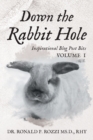 Down the Rabbit Hole : Inspirational Blog Post Bits Volume 1 - Book