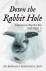 Down the Rabbit Hole : Inspirational Blog Post Bits Volume 1 - eBook