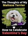 The Thoughts of My Maltese Terrier : How to Celebrate Valentine's Day - Book