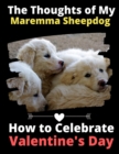 The Thoughts of My Maremma Sheepdog : How to Celebrate Valentine's Day - Book